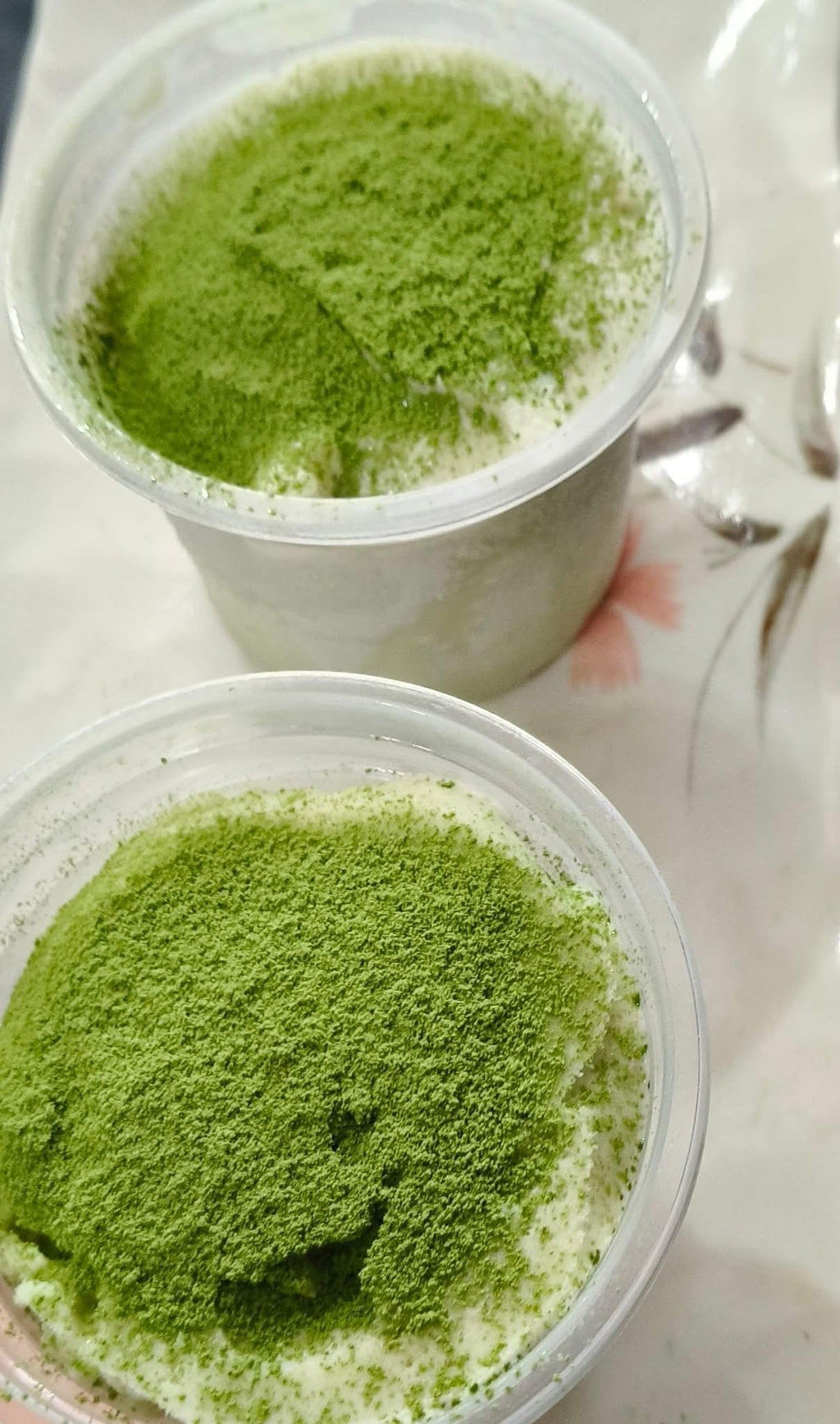 500g - Wolffia Globosa Freeze Dried Powder, Vegan (Product of Thailand)