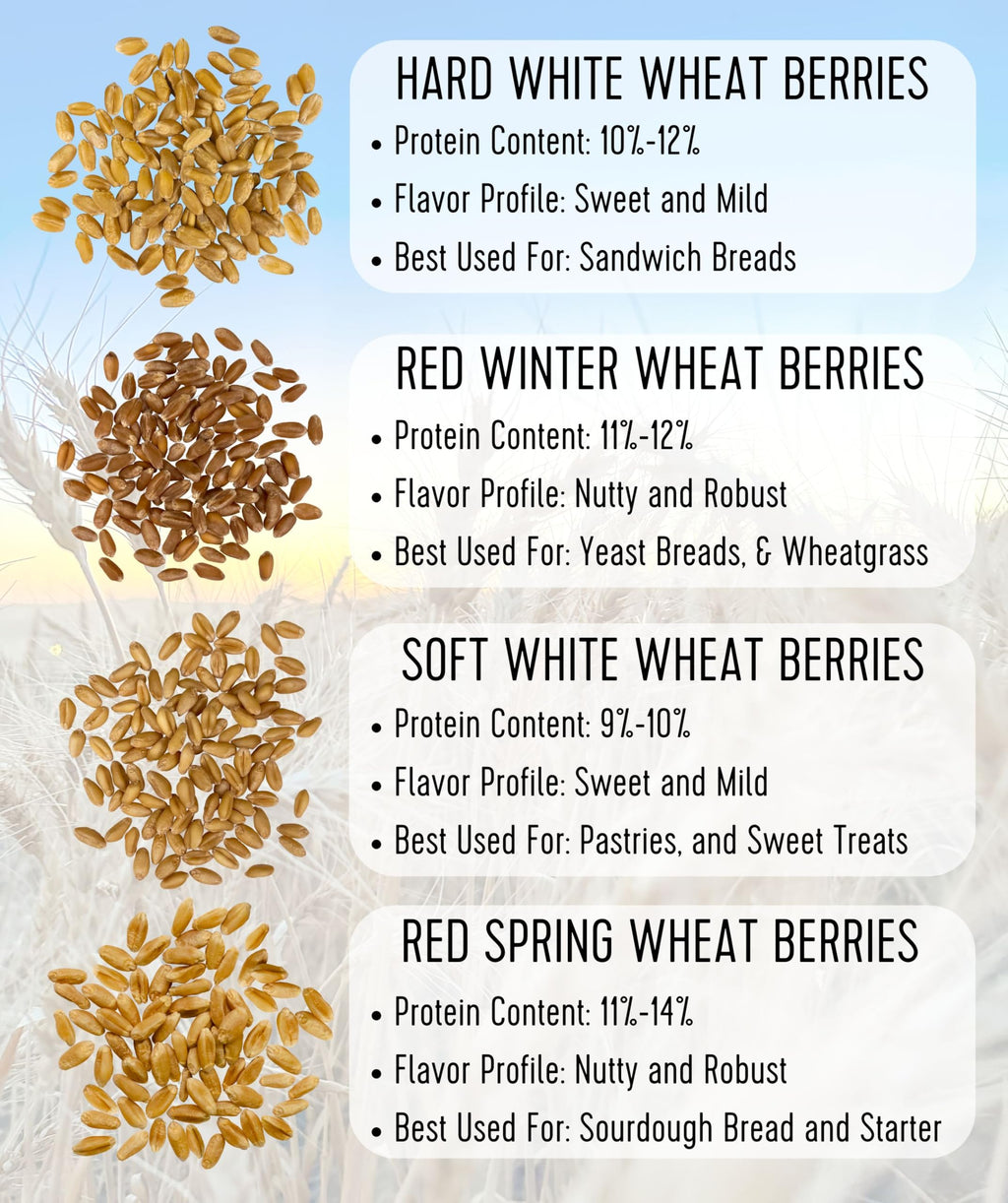 Hard Spring Wheat Berries Glyphosate Residue Free Non GMO 36 lbs