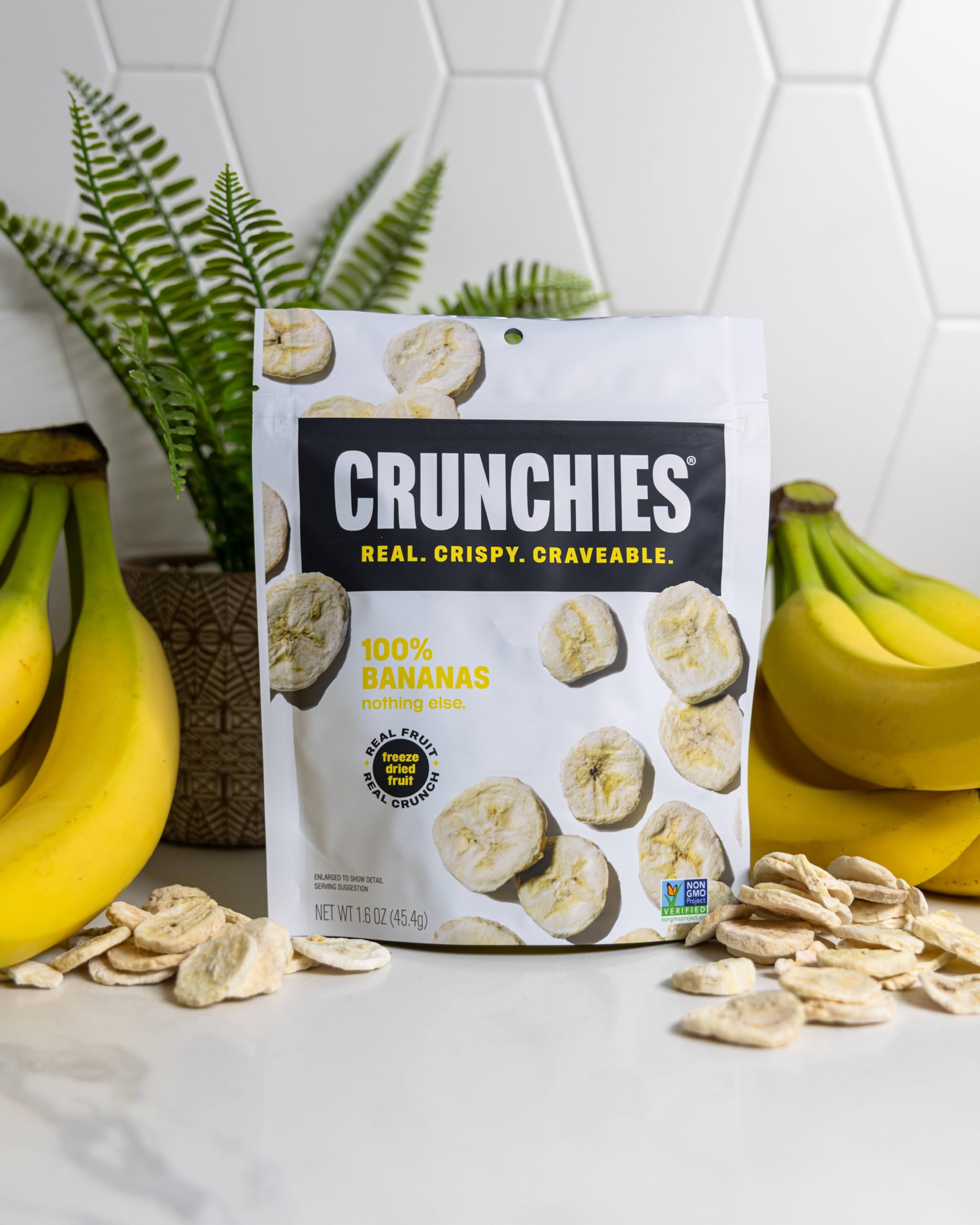 Freeze Dried Fruit Snack Packs All Natural Non GMO Pack of 6