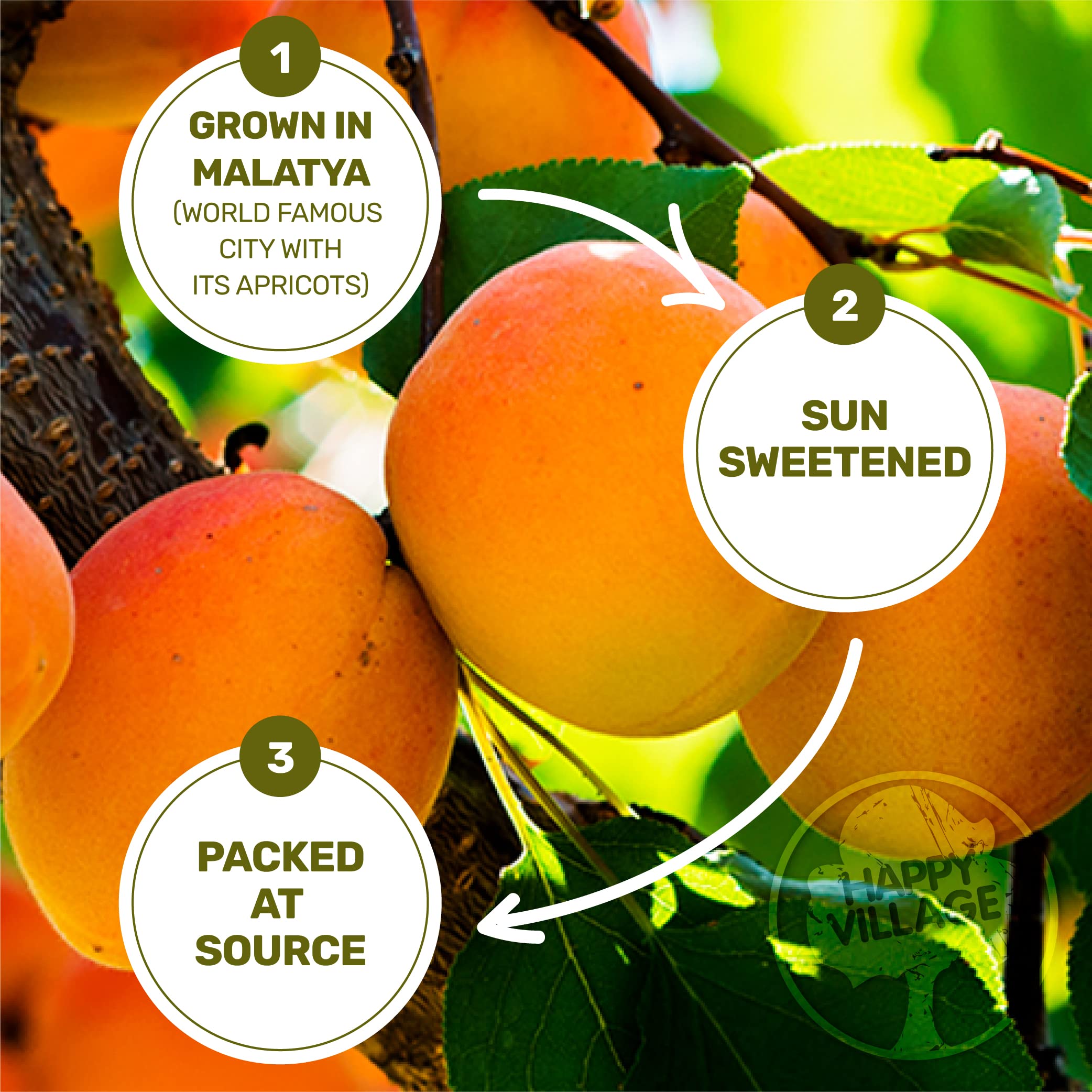 Happy Village Organic Dried Fruits - PARENT LISTING