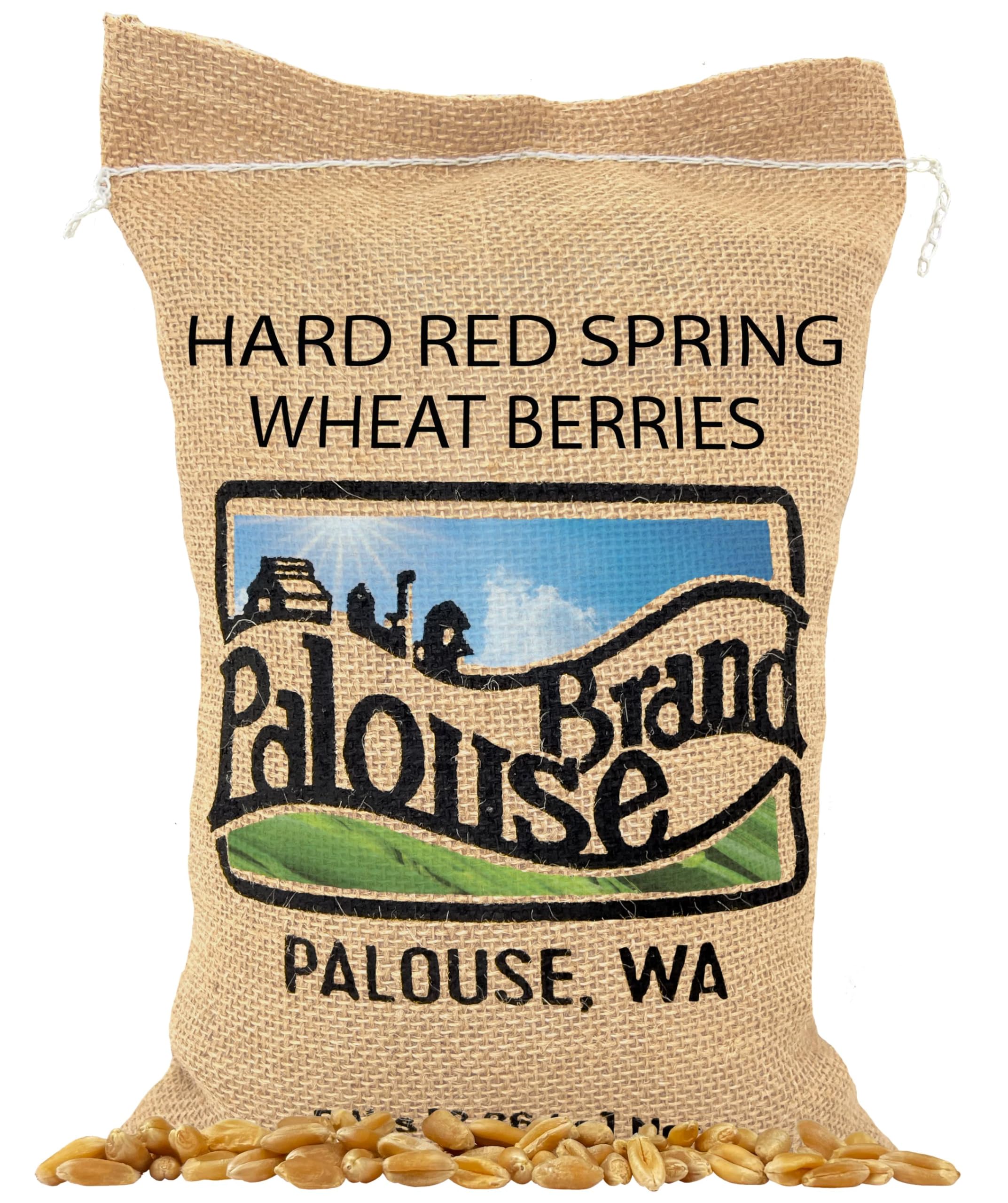 Hard Spring Wheat Berries Glyphosate Residue Free Non GMO 36 lbs