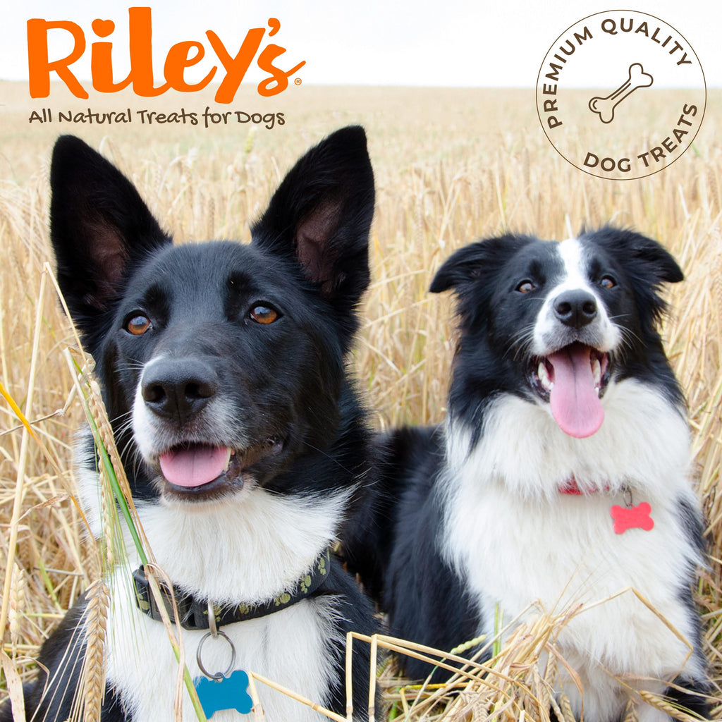 Riley's Waffle Chicken Chips